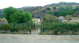 Ranch With Home (80 acres) Ranch With Home (80 acres)