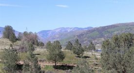 Ridge Route Ranch Ridge Route Ranch