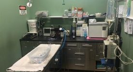 Happy Pets Veterinary Center Happy Pets Veterinary Center