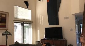 Suburban Surprise Suburban Surprise
