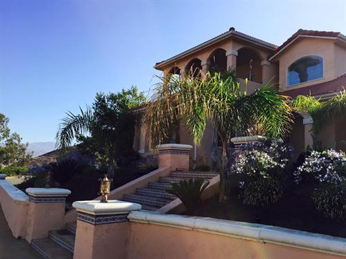Cactus Flower Ranch