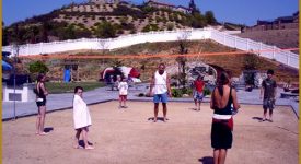 Amazing Pool/Recreational Yard Amazing Pool/Recreational Yard