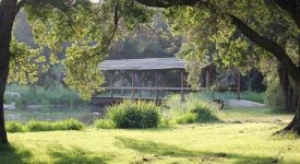 Golden Oak Ranch Golden Oak Ranch