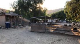 Smoke Tree Ranch