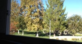 Beautiful View from Upstairs Home Beautiful View from Upstairs Home