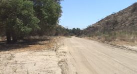 Diamond V Movie Ranch/Rene’s 50’s Town