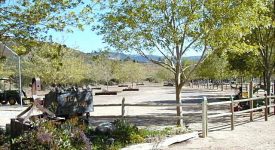 Sweetwater Springs Sweetwater Springs