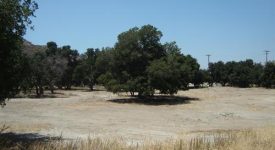 Placerita Canyon Rd – Vacant land off Freeway Placerita Canyon Rd – Vacant land off Freeway