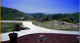 Amazing Pool/Recreational Yard Amazing Pool/Recreational Yard
