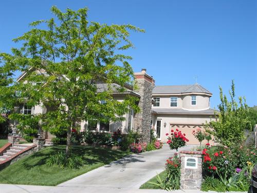 Peaceful Outdoor Setting with Large Yard Tucked in Mountain Peaceful Outdoor Setting with Large Yard Tucked in Mountain