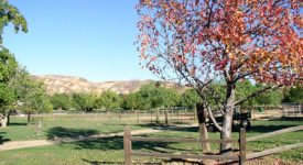 Three Ranches For Flicks Three Ranches For Flicks