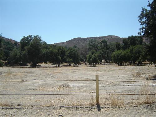 Placerita Canyon Rd – Vacant land off Freeway Placerita Canyon Rd – Vacant land off Freeway