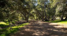 Rancho Maria – Sable Ranch Rancho Maria – Sable Ranch