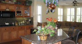 Peaceful Outdoor Setting with Large Yard Tucked in Mountain Peaceful Outdoor Setting with Large Yard Tucked in Mountain