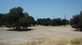 Placerita Canyon Rd – Vacant land off Freeway Placerita Canyon Rd – Vacant land off Freeway