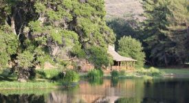 Golden Oak Ranch Golden Oak Ranch
