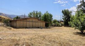 Barn full of Circus memorable and a 70’s Themed House