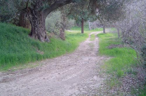 Deer Ranch Deer Ranch