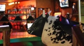 Shooters Bar & Billiards / Mechanical Bull Shooters Bar & Billiards / Mechanical Bull