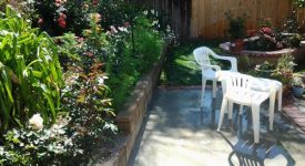 Back Yard Back Yard