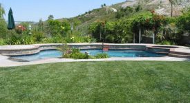 Peaceful Outdoor Setting with Large Yard Tucked in Mountain Peaceful Outdoor Setting with Large Yard Tucked in Mountain