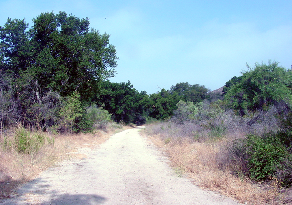 Quigley Canyon