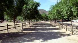 Sweetwater Springs Sweetwater Springs