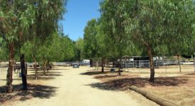 Three Ranches For Flicks Three Ranches For Flicks