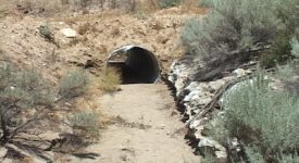 Diamond V Movie Ranch/Rene’s 50’s Town