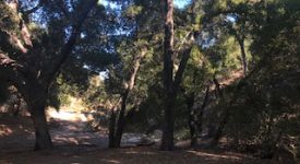 SilverStrand Ranch SilverStrand Ranch