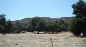 Placerita Canyon Rd – Vacant land off Freeway Placerita Canyon Rd – Vacant land off Freeway