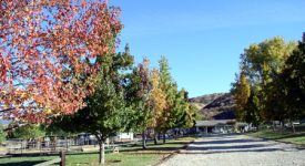 Amberwood Grove Ranch Amberwood Grove Ranch