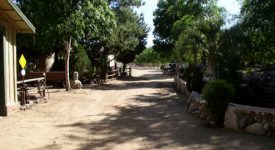 Sweetwater Springs Sweetwater Springs