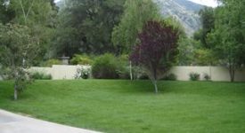 Charming Sand Canyon Cottage Charming Sand Canyon Cottage