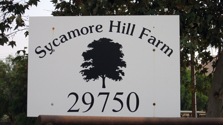 Sycamore Hill Farm