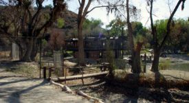 Shambala Preserve