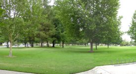 Almendra Park Almendra Park