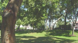 Old Orchard Park Old Orchard Park