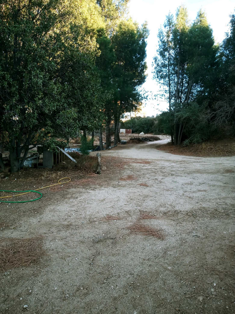 Andrade Grove
