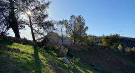 Mosshart Ranch