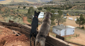 Mosshart Ranch