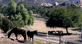 Rancho Valencia Rancho Valencia