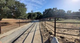 Shady Oaks Ranch Shady Oaks Ranch