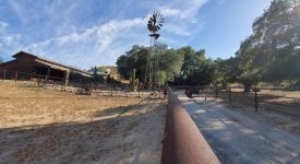 Shady Oaks Ranch Shady Oaks Ranch