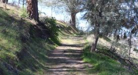 Ridge Route Ranch Ridge Route Ranch