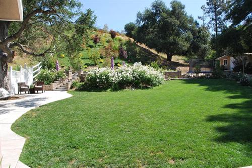 Springer Wildwood Canyon Springer Wildwood Canyon