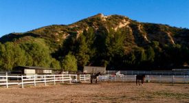 Red Rock Riding Ranch Red Rock Riding Ranch