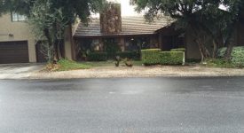 Happy Valley – Newhall – Ranch Style Home Happy Valley – Newhall – Ranch Style Home