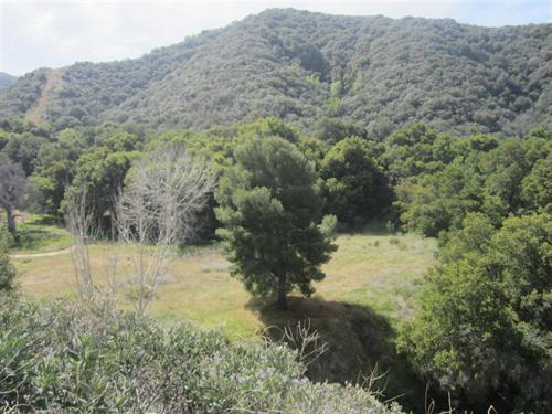 East Walker Ranch
