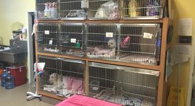 Happy Pets Veterinary Center Happy Pets Veterinary Center